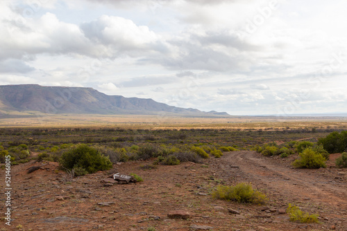 Bokkeveld Plateau near Nieuwoudtville with Mountains in the background and a small path in the foreground photo