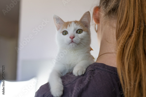 the cat looks over the shoulder of the owner. the cat is sitting on the shoulder of copy space