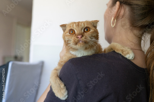 the cat looks over the shoulder of the owner. the cat is sitting on the shoulder of copy space