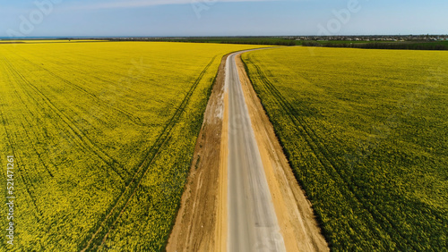 Aerial for the asphalt road between yellow fields on blue sky background. Shot. Stunning countryside landscape with a road and meadows with rapeseed flowers. © Media Whale Stock