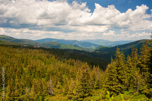 The width of the Dragobrat tract in the Carpathian Mountains is covered with coniferous forests against a blue sky with thick white clouds.