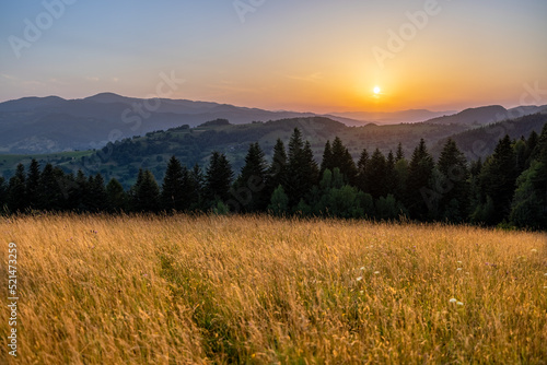 Lanscape view of yellow green meadow on the hill with mountains in the background before sunset