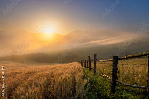 Lanscape view of rye field with old fence on the hill with foggy mountains in the background and at sunrise at sunrise