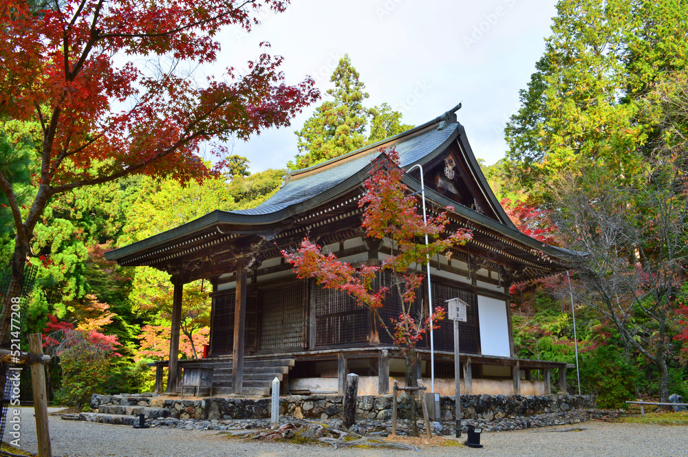 秋の京都市高尾神護寺の五大堂が美しい