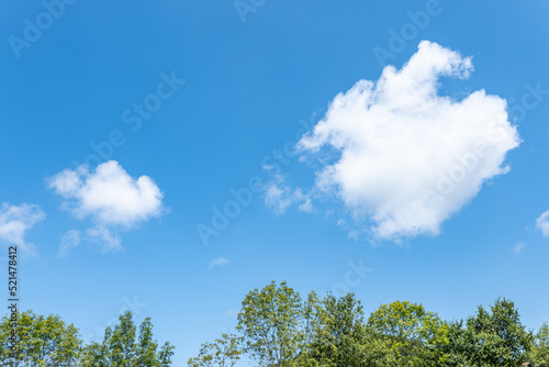 fantastic scenery on a sunny day with white clouds