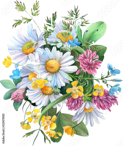 Floral pattern. Wild flowers and herbs  chamomile flowers - a decorative composition. Watercolor illustration. Decorative composition. Use printed materials  signs  objects  sites  maps.