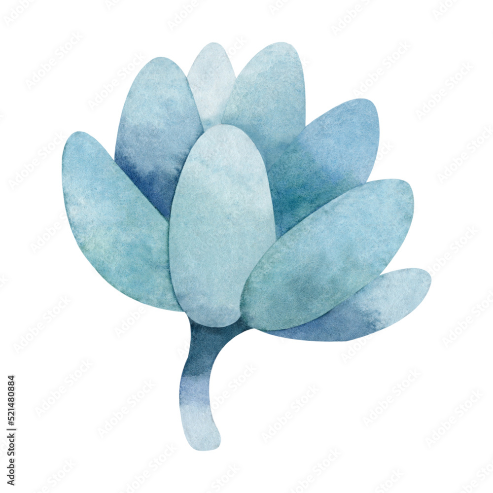 Hand drawn blue succulent clipart on white background. Watercolor ...
