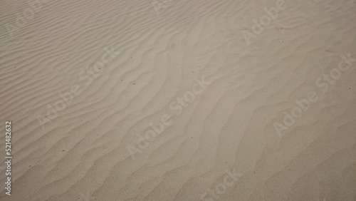 ripples in the sand. sand background.