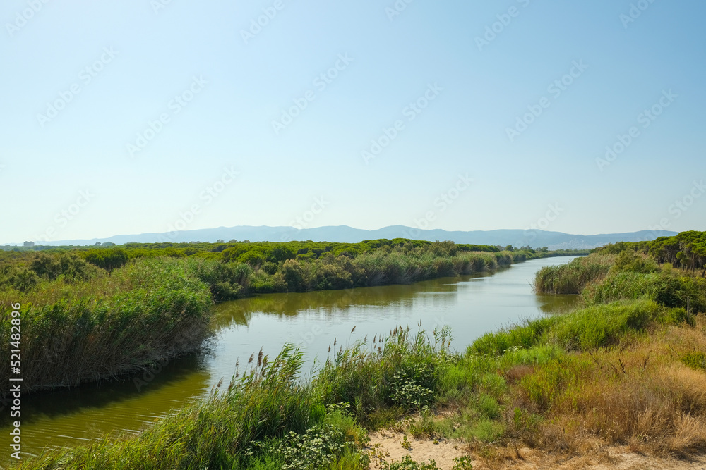 The banks of the river with lush vegetation. Views of the mountains on the horizon. A sunny summer day. High quality photo