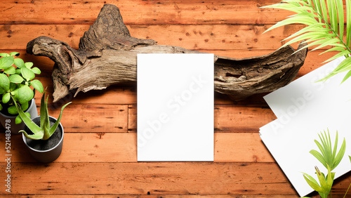Mockup white paper on the old tree trunk,wooden brown table background with tropical house plants ,top view