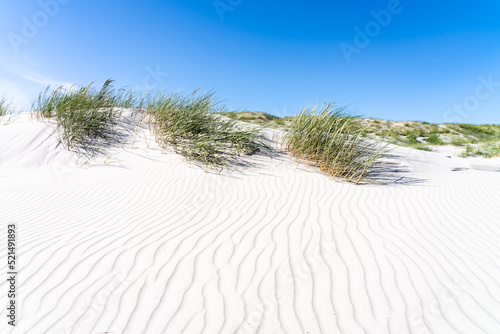 Fototapeta Naklejka Na Ścianę i Meble -  White sandy beach with dune grass
