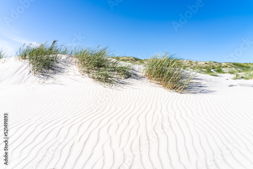 White sandy beach with dune grass