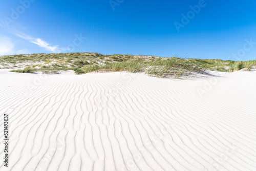 Fototapeta Naklejka Na Ścianę i Meble -  White sandy dune beach with beach grass on a sunny day