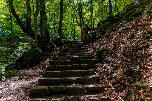 stairs in the woods © Alen