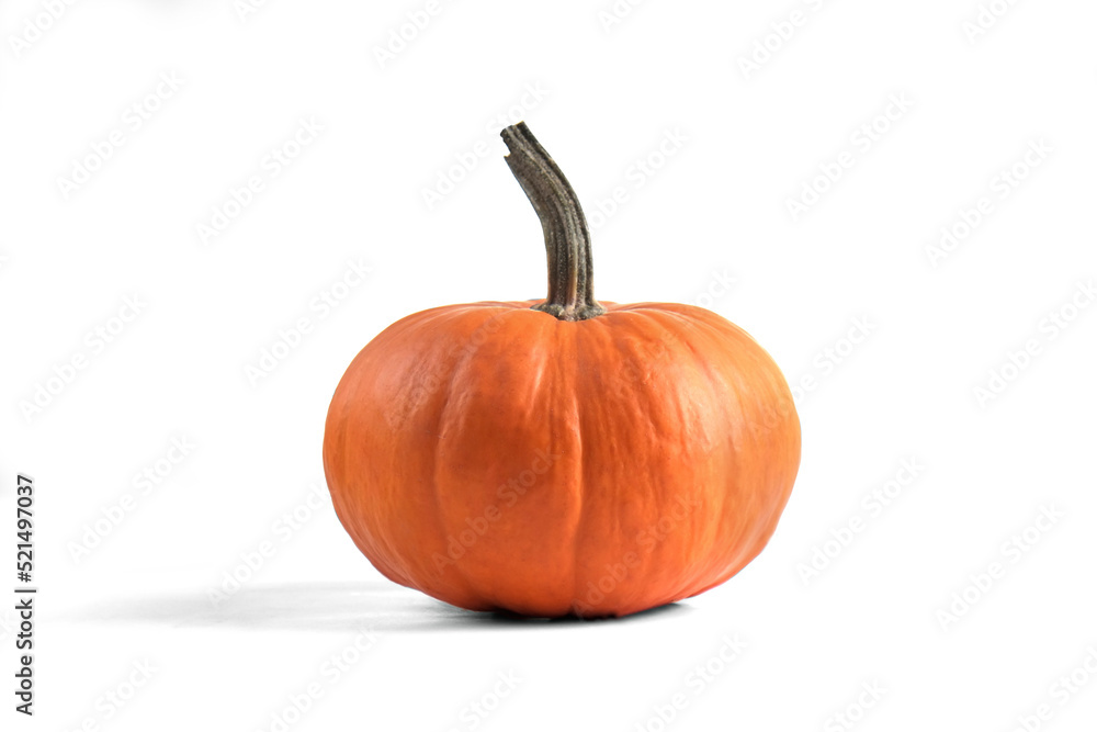 Obraz premium Close up shot of a single classic orange pumpkin isolated on white background as a symbol of autumnal holidays with a lot of copy space for text.
