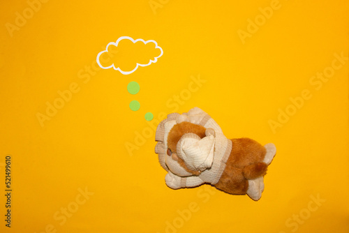 sleeping, a little monkey sleeps and dreams, a cloud like a copy sace, what is in his dream
 photo