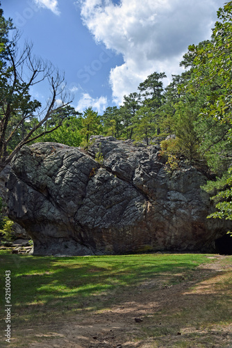 Boulders and Trees