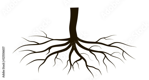 Vector illustration of a tree root. Black silhouette.