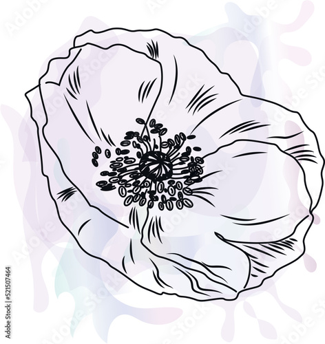 Luxury botanical background with trendy wildflowers and minimalist flowers for wall decoration or wedding. Hand drawn line herb, elegant leaves for invitation save the date card. Botanical rustic