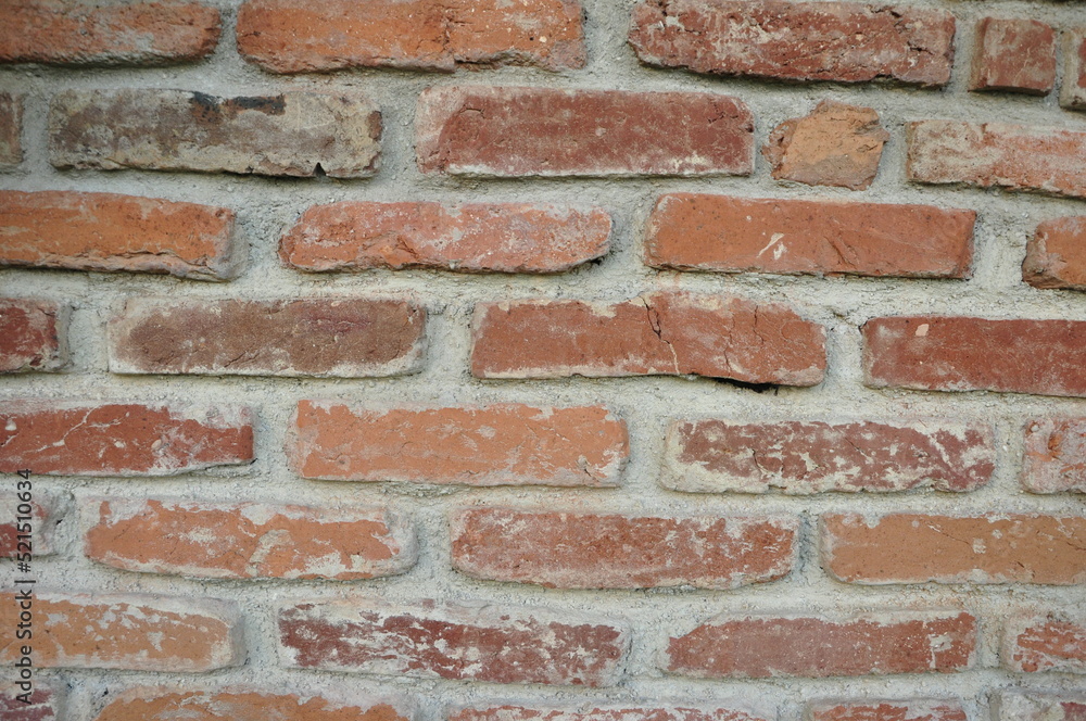 Obraz premium summer.....