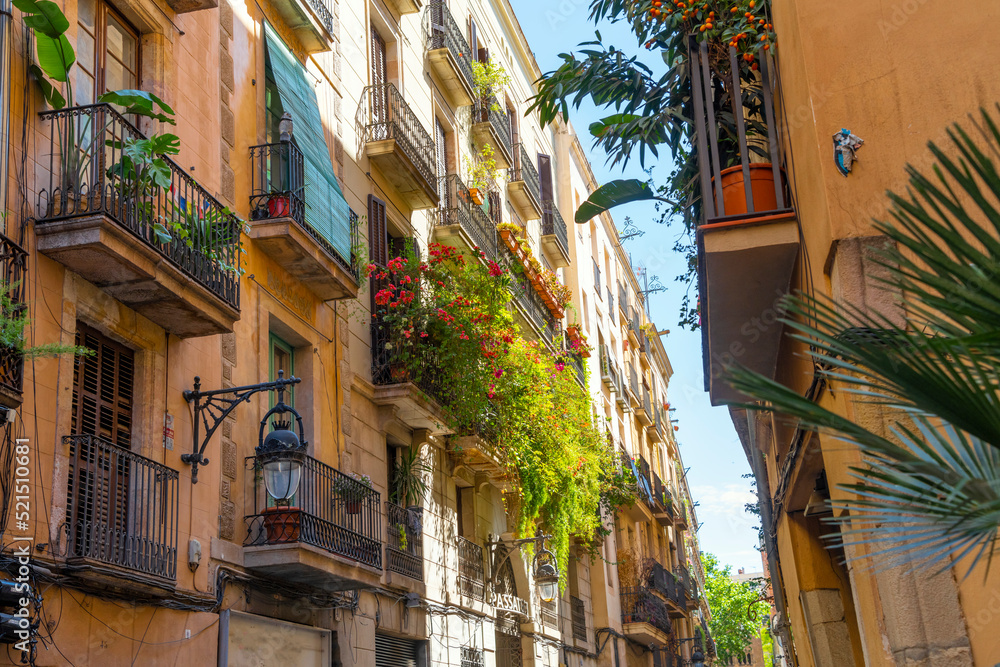 Balconies with plants and flowering bushes on the side of a residential building on Passatge Sert, a colorful alley in the El Born Ribera quarter of the historic old area of Barcelona, Spain. - obrazy, fototapety, plakaty 