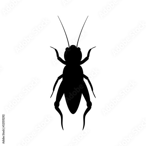 Black silhouette of cricket. Realistic orthopteran insect with long antennae. Monochrome beetle emitting loud vector chirp