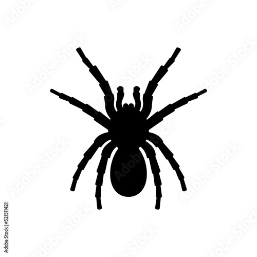 Black silhouette of tarantula spider. Huge dangerous arachnoid with large furry paws and poisonous jaws. Dangerous insect lying in wait for its vector prey