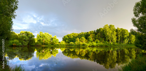 Panoramic view of calm forest pond