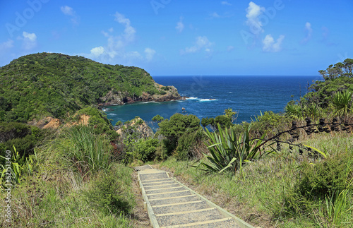 Trail to Tutukaka Head - New Zealand photo