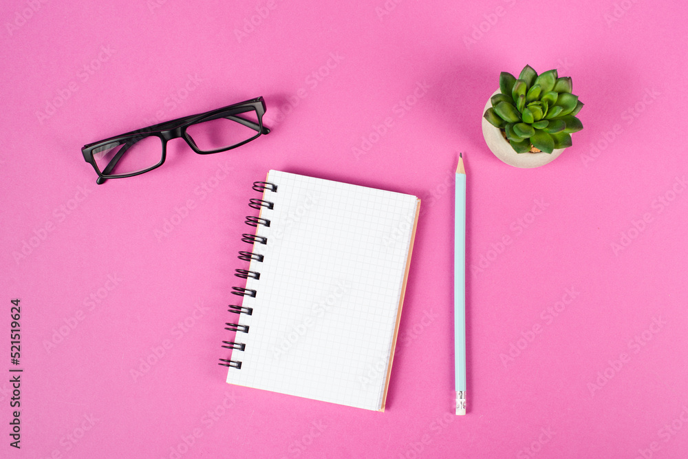 Empty notebook with a pen, eyeglasses and a cactus on a pink background, brainstorming for new ideas, writing a message, taking a break, home office desk Empty notebook with a pen, eyeglasses and a cactus on a pink background, brainstorming for new ideas, writing a message, taking a break, home office desk