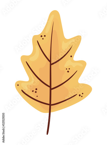 dry leaf illustration