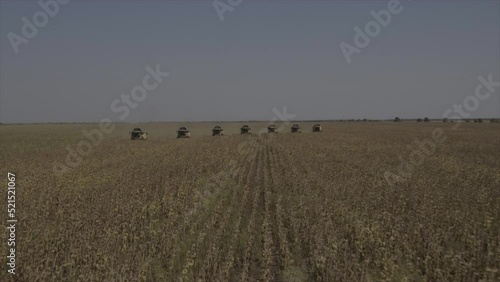 7 combains are harvesting in the field zoom in  photo