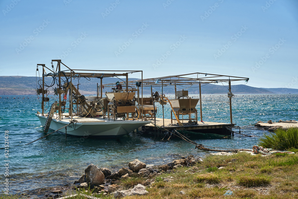 Fototapeta premium Boats for growing mussels and oysters stand in the lagoon near the shore.