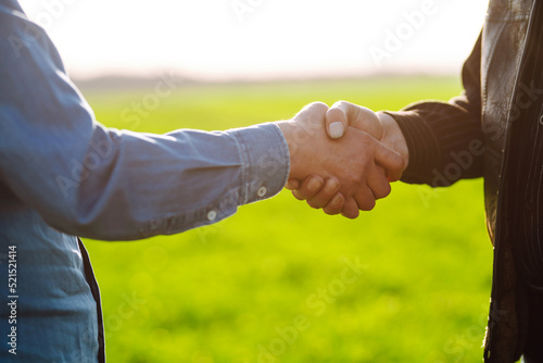 Two farmers making agreement with handshake in green wheat field. The concept of the agricultural business.