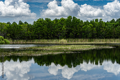 southwest florida landscape with water reflection of sky