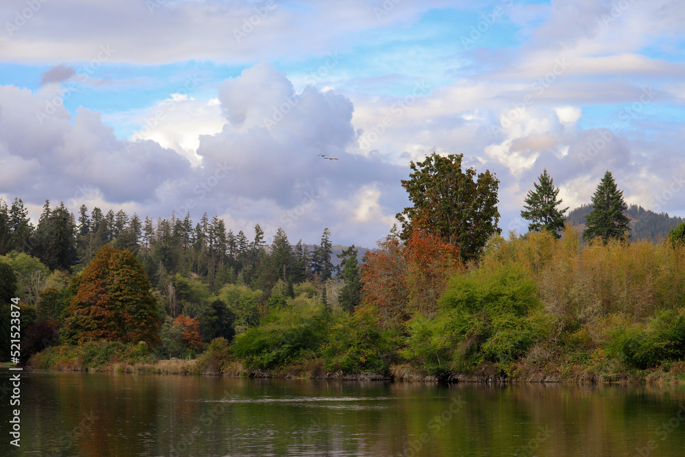 Fototapeta premium Sooke River