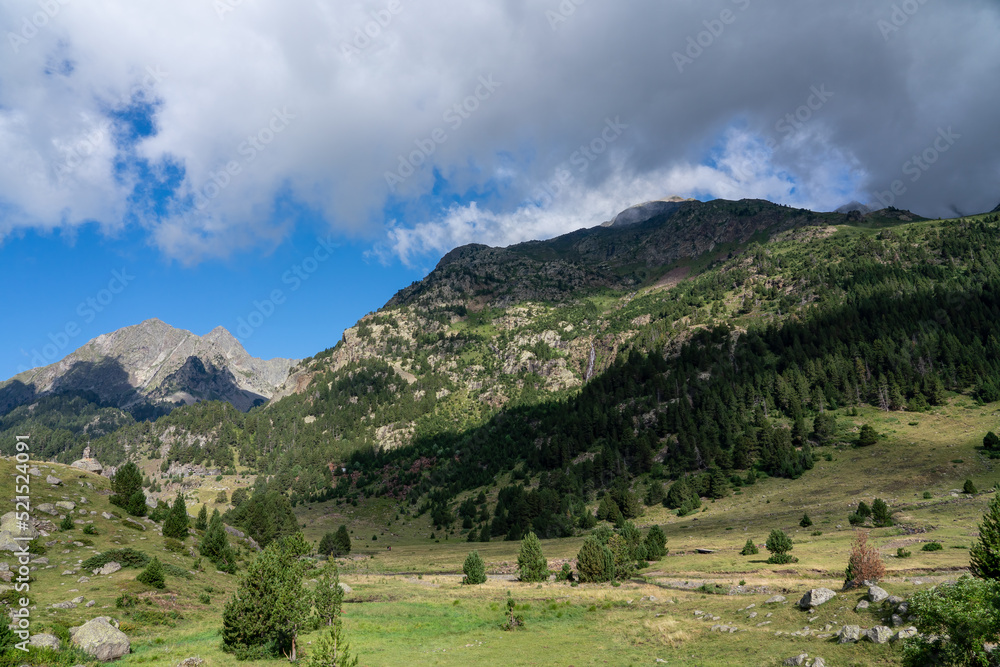 large glacier formed mountain valley, rock, grass and trees