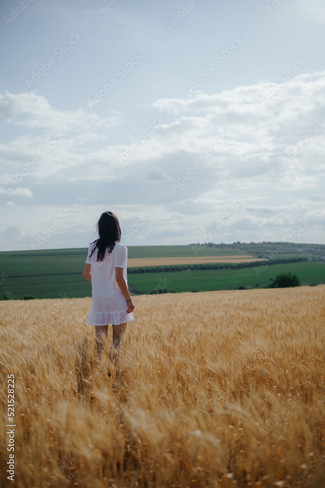 summer. young woman walking in a golden wheat field. High quality photo