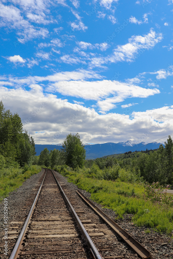 Fototapeta premium Railway and Blue Sky Portrait