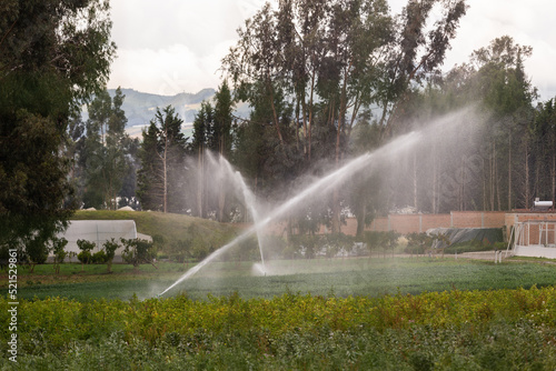 wetting a crop with water irrigation system, agriculture and care for nature, environment and plantations