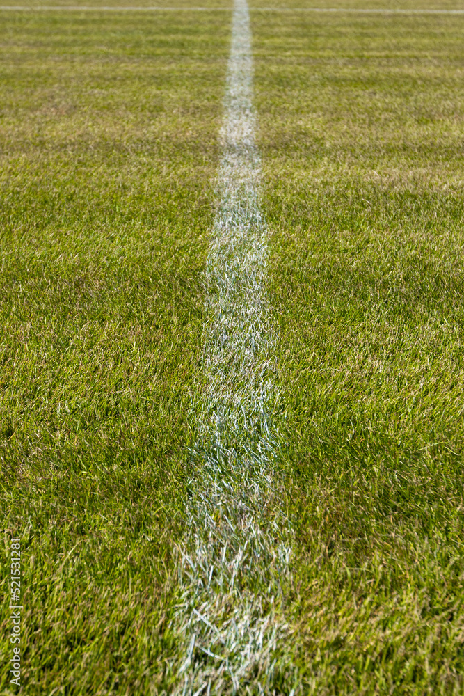 Grass with lines on a soccer field