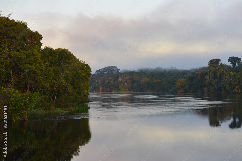 A misty morning on a rainforest-lined bend of the Guaporé-Itenez river, near Ilha das Flores, Rondonia state, Brazil, on the border with Beni Department, Bolivia
