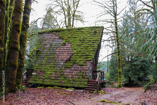 Mossy Lodge