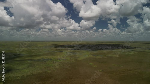 Aerial view of the Florida everglades with a beautiful blue sky with big white puffy clouds. Drone view from above of the natural environment.