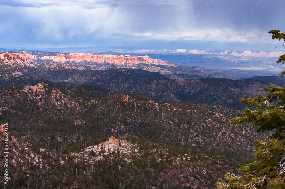 scenic view of pine trees of Ponderosa Canyon at Bryce National Park, Utah, USA scenic view of pine trees of Ponderosa Canyon at Bryce National Park, Utah, USA