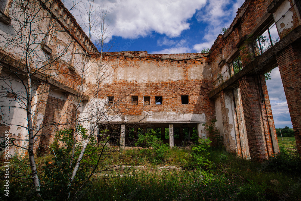 Remains of demolished old industrial building overgrown by plants Remains of demolished old industrial building overgrown by plants