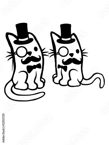 Sir Katzen Freunde Team 