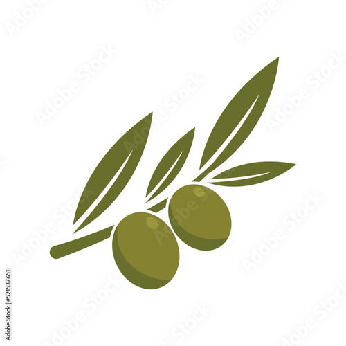 Olive illustration vector