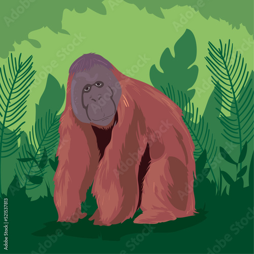 colored orangutan poster