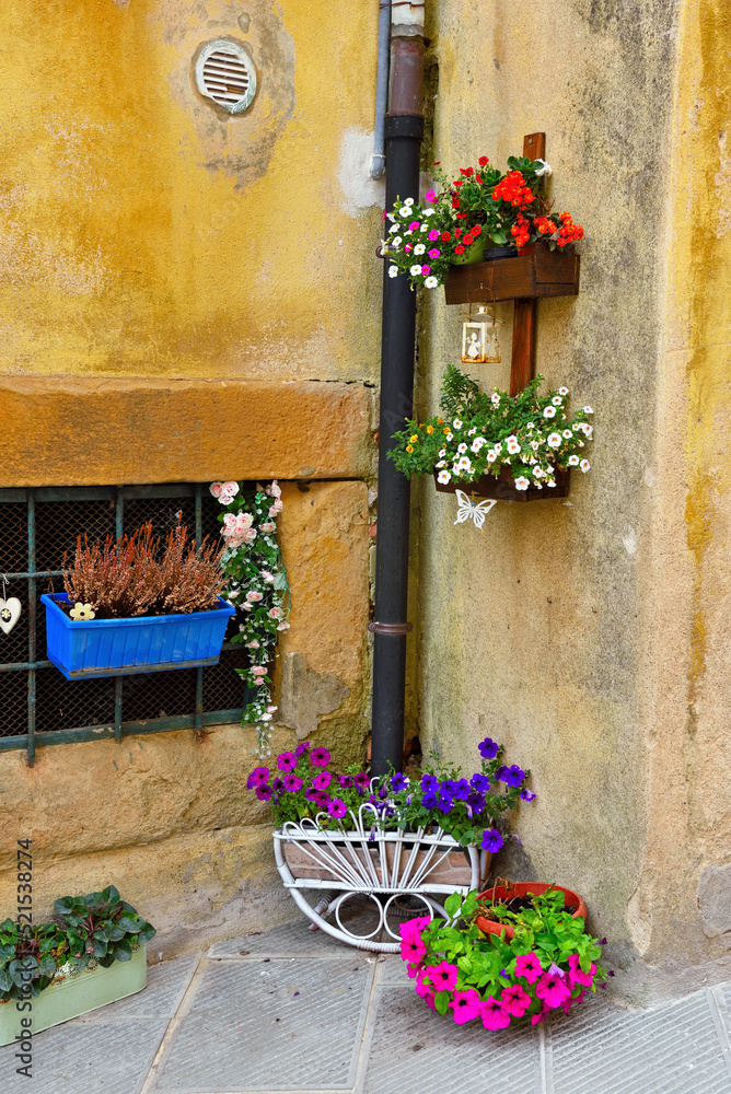 Naklejka premium flowers in the colorful village of ghizzano tuscany Italy